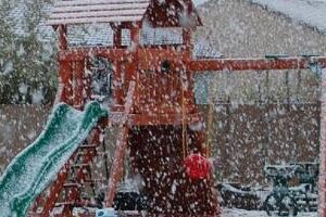 3 Ways to Winterize Your Wooden Playset