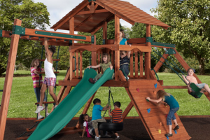 Why Should You Choose Cedar For Your Wooden Playset?